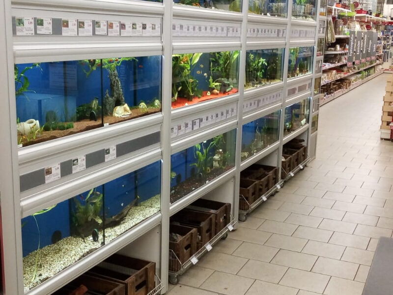 Alles für Tiere - Filiale Blankenburg Aquaristik
