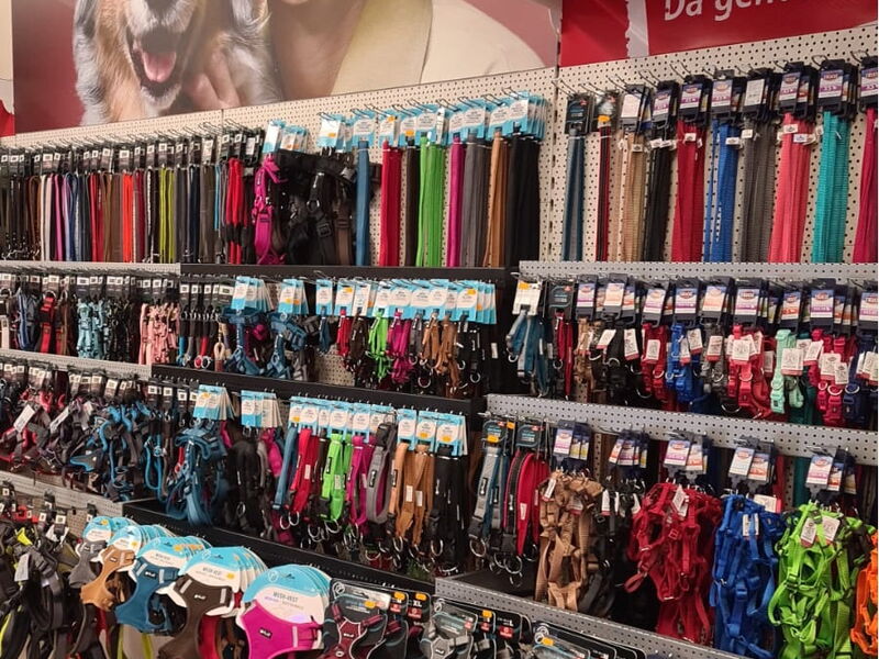 Alles für Tiere - Filiale Blankenburg Hundeleinen