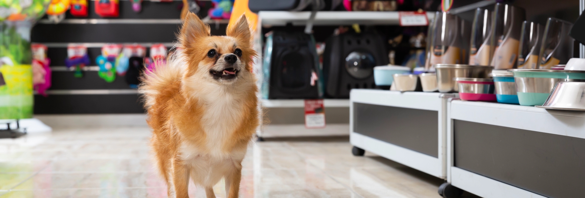 Alles für Tiere - Unser Sortiment