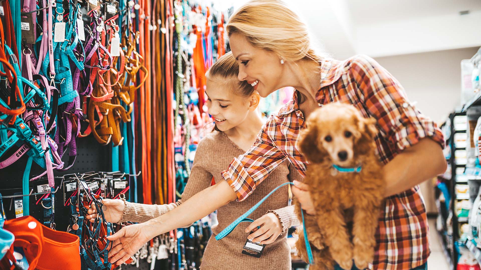 Alles für Tiere - Hundezubehör im Sortiment