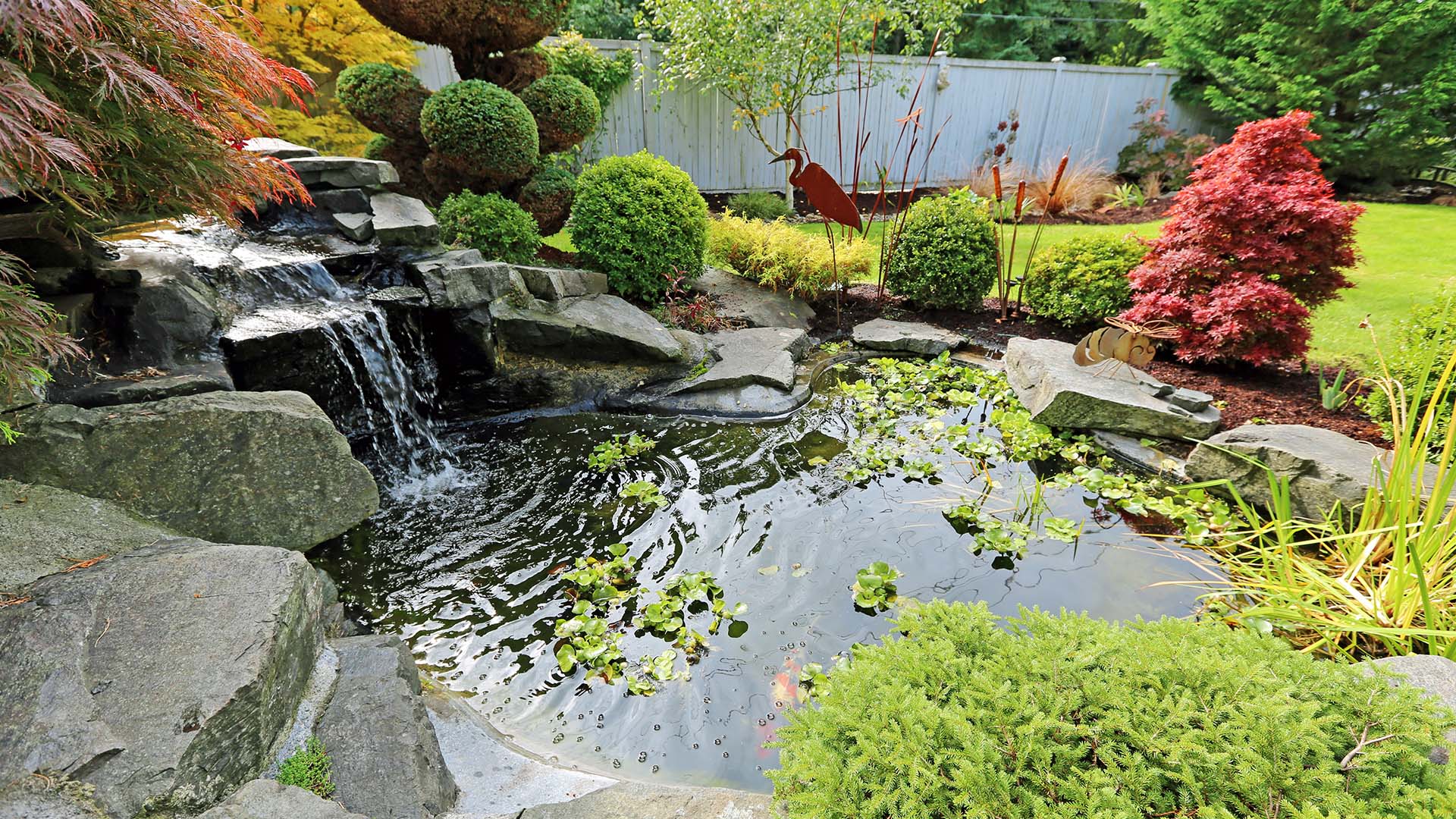 Alles für Tiere - Teichzubehör im Sortiment